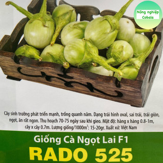 Hạt Giống Cà Ngọt Lai (RD525) Sai Trái 0.2gr