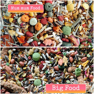Thức ăn trộn ngon cho Hamster (Mum food 500g/ Big food 400g)