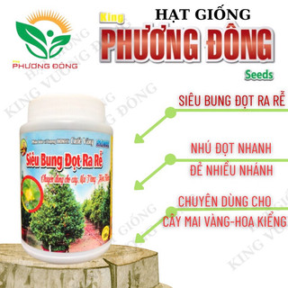 Siêu bung đọt ra rễ mai vàng hoa kiểng 100ml - phân bón cuốc vàng