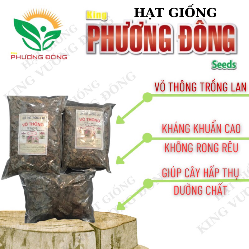 VỎ THÔNG TRỒNG LAN SIZE 3-4cm - SIZE 1cm