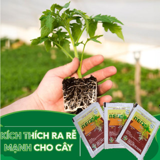 Ra rễ cực mạnh men 12ml – kích thích nảy mầm, ra rễ cực nhanh, tiếp sức cây trồng