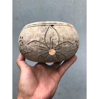Chậu Gáo Dừa Trồng Lan