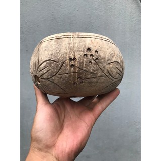 Chậu Gáo Dừa Trồng Lan