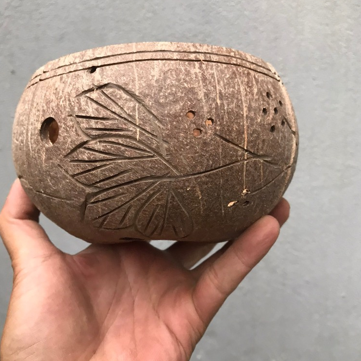 Chậu Gáo Dừa Trồng Lan