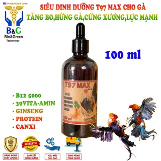 T97 Nuôi hừng gà,dinh dưỡng cho gà đá.