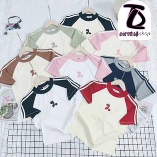 Áo Baby Tee Phẩy Chấm Phối Sọc Viền Borip Quảng Châu 4 Chiều - Dư Tú Lệ Shop