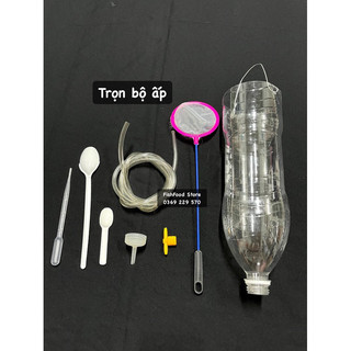 Bộ ấp trứng artemia