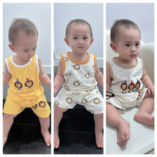 Set combo 3 bộ sư tử