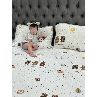 Chiếu điều hoà kèm 2 gối mát lạnh hàng săn sale