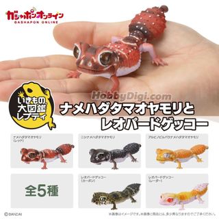 Gashapon/ Capsule toy Bandai - Sự đa dạng của sự sống trên trái đất - Tắc kè đuôi núm và tắc kè da báo