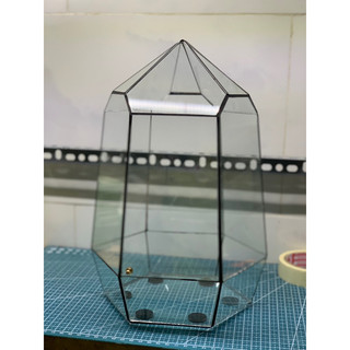 Bể kính lục giác đầu nhọn dùng trang trí bán cạn, terrarium kích thước D21xR18xC31