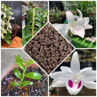 Phân bón hữu cơ trùn quế viên nén ( 1 kg )