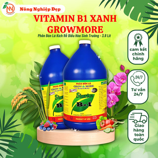 Vitamin B1 Xanh Growmore – Kích rễ, điều hòa sinh trưởng Can 3,8 Lít