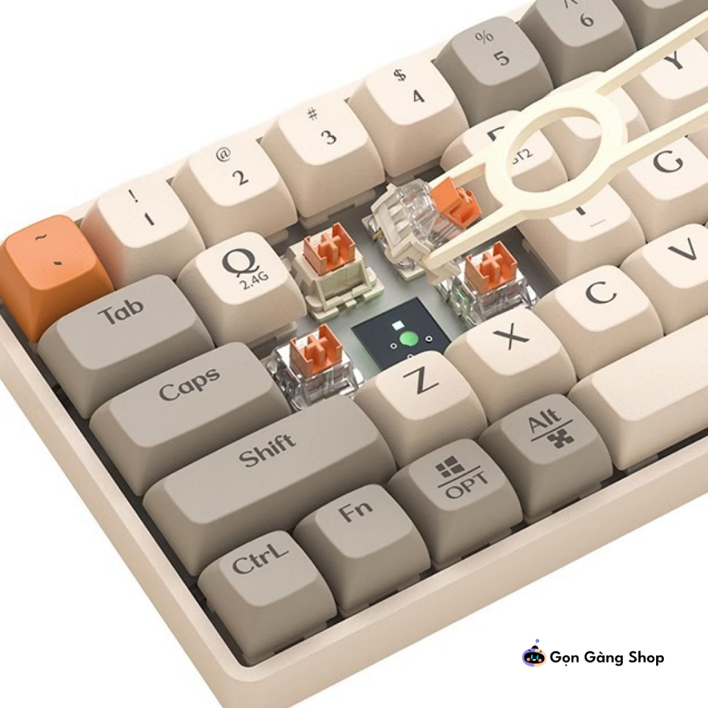 Bàn Phím Cơ Không Dây LANGTU GK65 HOTSWAP GoldenSwitch 3 chế độ kết nối - Hai màu Gọn Gàng Shop | BigBuy360 - bigbuy360.vn