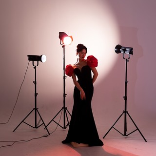 Đèn Led Nanlite FS-300B HL Studio