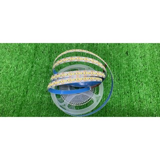 Led dây 12v chip 2835 siêu sáng 240led/m - cuộn 5m