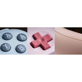 TAY CẦM CHƠI GAME 8BITDO ULTIMATE C BLUETOOTH CONTROLLER CHO NINTENDO SWITCH - CHÍNH HÃNG 8BITDO