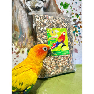  Ngũ Cốc cho các dòng vẹt trung bình 