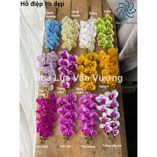 Hoa giả, hoa lan hồ điệp 9 bông cao su đẹp