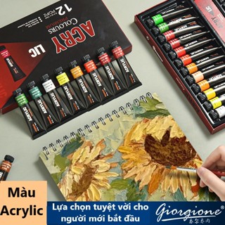 Màu Acrylic Giorgione dạng tuýp nhỏ 12ml 12/24 màu sơn loại cao cấp Vẽ trên nhiều chất liệu như Giấy/nhựa/Vải/Đá/Gỗ...
