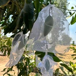 100 cái túi bao, bọc trái nho, mướp, khổ qua chất liệu lưới tốt