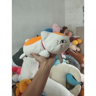 Gấu bông mèo size 25-30cm