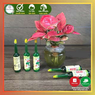 Dung dịch thuỷ canh, chuyên cho cây thuỷ sinh, cung cấp dinh dưỡng cho cây