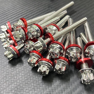 Full Bộ ốc lốc máy Mẫu Bông tặng full lông đền đỏ chuẩn inox 304 gắn cho tất cả các dòng xe (xem phân loại