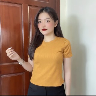 Áo thun nữ cổ tròn from xinh chất thun gân mềm mát co dãn 4 chiều, Áo phông nữ nhiều màu MS02