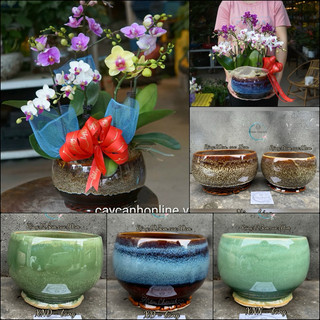 Chậu Gốm Bát Tràng Trồng Cây bon sai, trồng lan .Mã: tròn chân mây