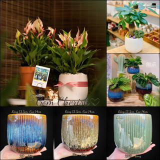 Chậu cây dáng lê tăm, trồng cây cảnh, để bàn