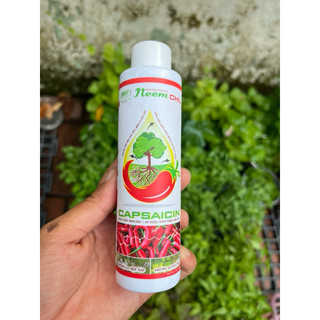 Dầu Neem chế phẩm Sinh học kiểm soát côn trùng và nấm bệnh Neem Chili 150ml