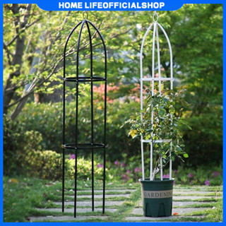 [📢Free shipping🕹️] Khung đỡ,khung tháp, giá đỡ hoa hồng leo, cây trang trí màu xanh cao 1,45m đường kính 28cm, ống 8mm