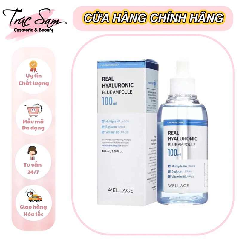 Serum HA + B5 Wellage 75ml