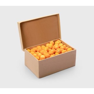 Trái Tầm Bóp VietGAP -Thù Lù Nam Mỹ (Golden berry) đã lột vỏ 1000g