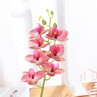 Cành Hoa Lan Hồ Điệp giả bằng cao su và vải lụa dài 60cm 7 bông hoa cắm chậu lan sang trọng bền đẹp