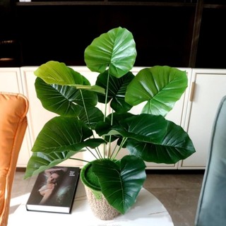 Cây giả-Cây trầu bà, cây vạn niên, cây lá rùa 12 lá, 18 lá decor văn phòng, gia đình, tiểu cảnh