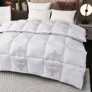 Ruột Chăn Hilton Cao Cấp ( Kích Thước 2mx2m3 )