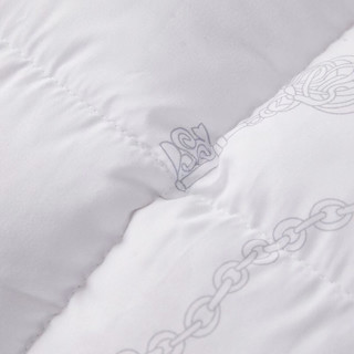 Ruột Chăn Hilton Cao Cấp ( Kích Thước 2mx2m3 )