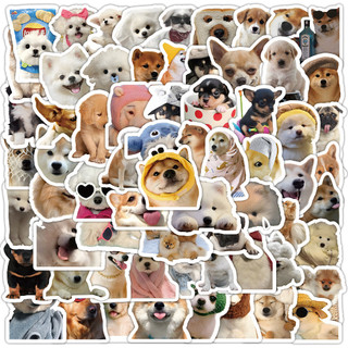 Set 100 chiếc sticker chống nước chó cute láo nháo meme siêu cute shiba corgi mặt xệ dán mũ bảo hiểm vali laptop xe