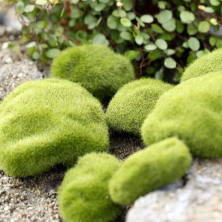 Rêu Giả Nhân Tạo trang trí chậu cây | Phụ kiện tiểu cảnh sen đá - Phụ kiện Terrarium
