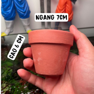 Chậu trồng cây thuỷ sinh đất nung gốm sứ - chậu trồng ráy