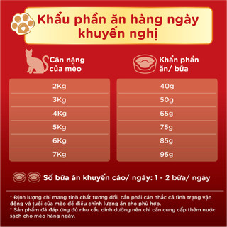 Thức Ăn Hạt Cho Mèo Silver Spoon Dành Cho Mèo Mọi Lứa Tuổi