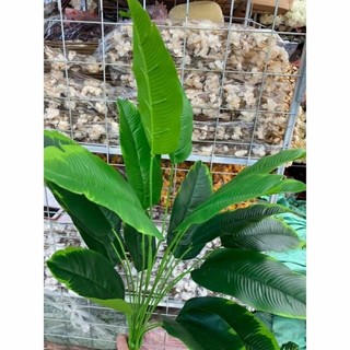 Cây chuối 18 lá giả- Cụm chuối giả- T'treedecor