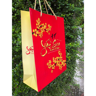 10 TÚI GIẤY  ĐỰNG YẾN SÀO CAO CẤP 100GR SIZE ĐỨNG