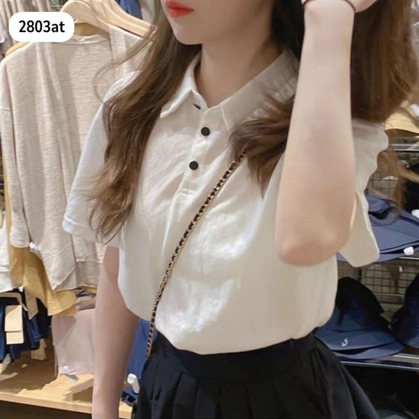Áo Nữ Basic Kiểu Dáng Trẻ Trung 2803AT