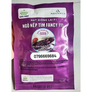 Hạt giống ngô nếp tím lai F1 Fancy 111 siêu dẻo gói 500 gram