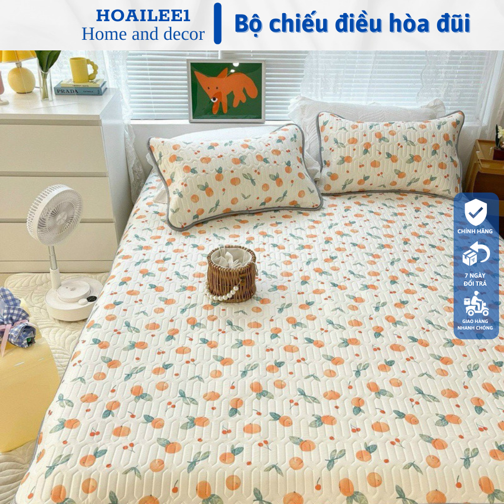 CHIẾU ĐIỀU HOÀ BỘ GA GỐI VẢI THUN LẠNH TRẦN BÔNG CHỐNG XÊ DỊCH TẶNG KÈM 2 VỎ GỐI ĐỦ KÍCH THƯỚC M6 M8