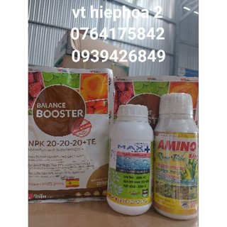 Combo Lớn Trái Sầu riêng