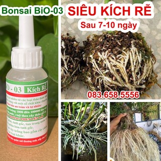 Phân bón BiO-03 Siêu kích ra rễ, phục hồi cây yếu và kích thích tăng trưởng